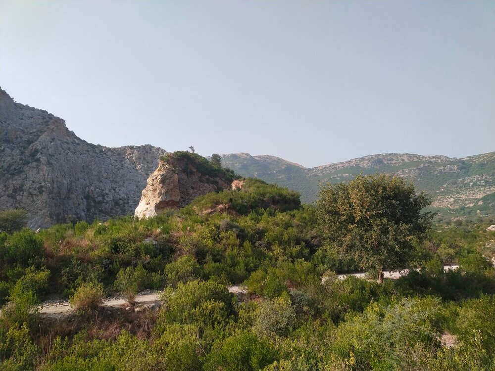 jungle trail valley in jouri rajgan margalla hills islamabad